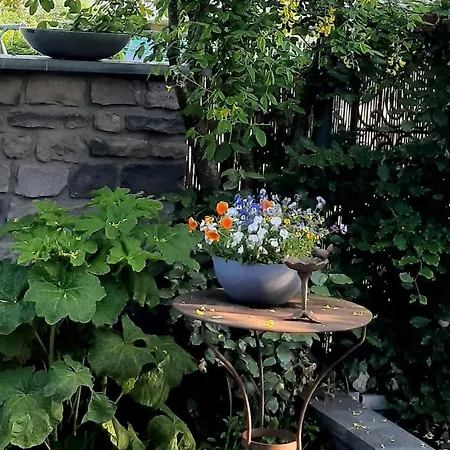 Merveilleuse Petite Maison De Charme * Doische