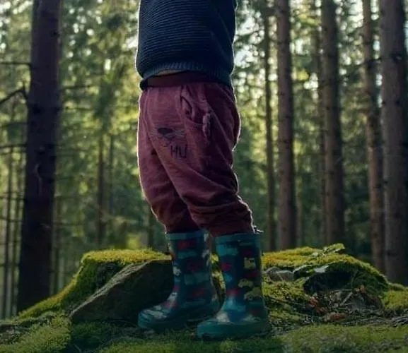 Merveilleuse Petite Maison De Charme * Doische