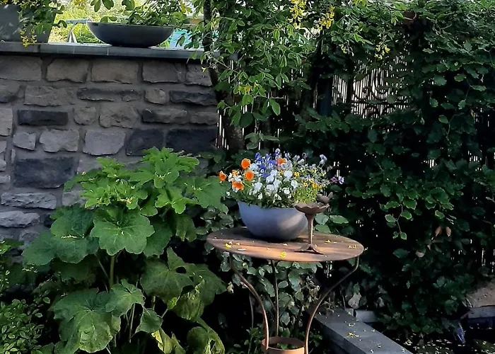 Merveilleuse Petite Maison De Charme * Doische