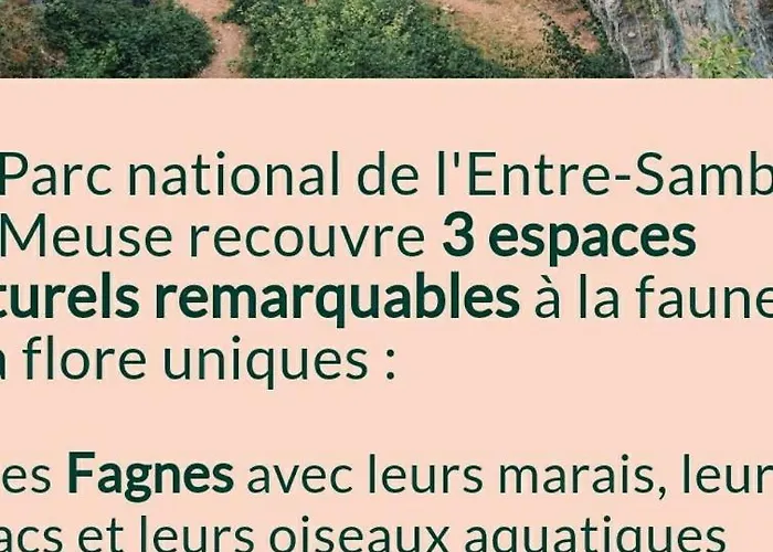 Merveilleuse Petite Maison De Charme Vakantiehuis *